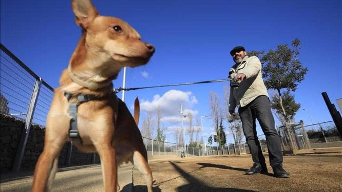 Un hombre paseando a su perro en una imagen de archivo