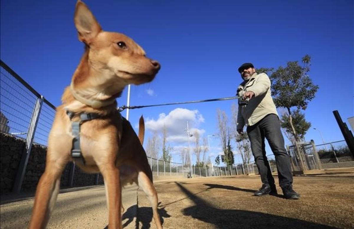 Un hombre paseando a su perro en una imagen de archivo