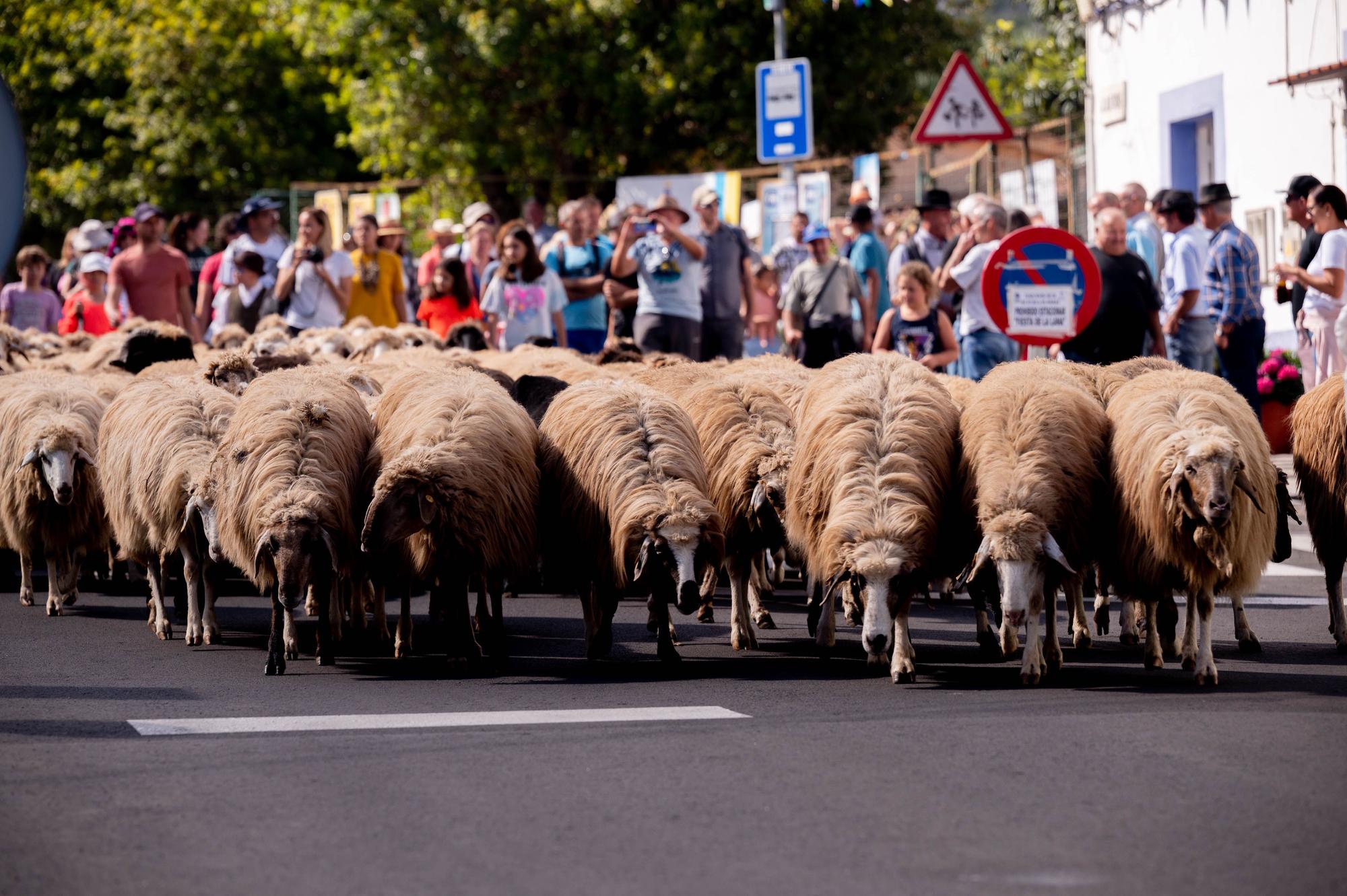 Fiesta de la Lana de Caideros