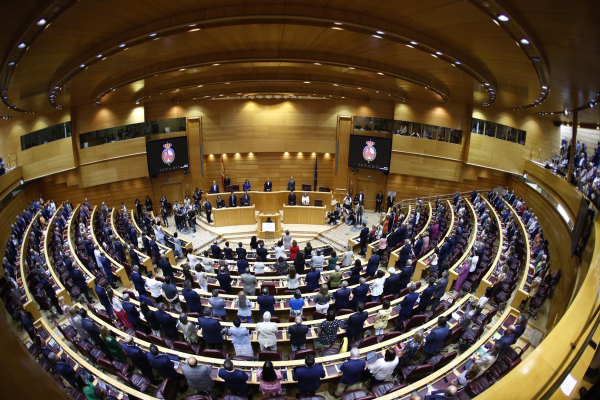 Minuto de silencio para condenar los últimos asesinatos por violencia machista, antes del inicio del pleno del Senado que debatirá la estrategia de ahorro energético, en Madrid. 