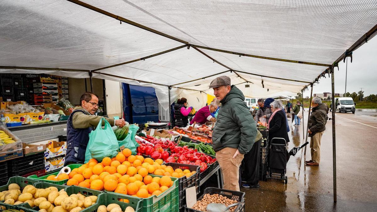 Vídeo | Los puestos del mercadillo ambulante de los martes, bajo mínimos por la borrasca