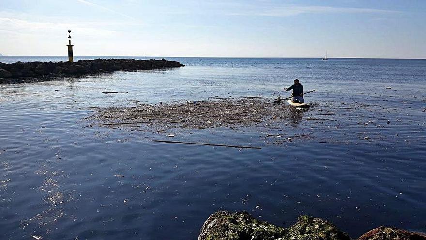 Algas y caÃ±as formaron islotes fÃ©tidos en el mar.