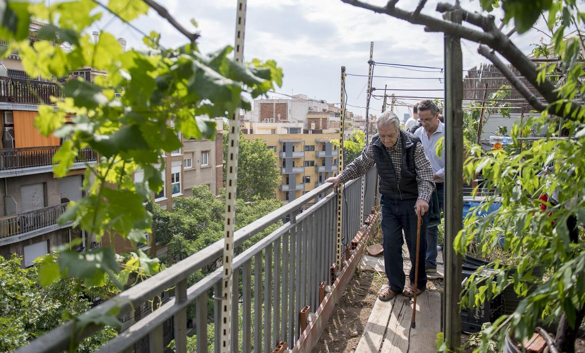 El huerto urbano del centenario Joan Carulla