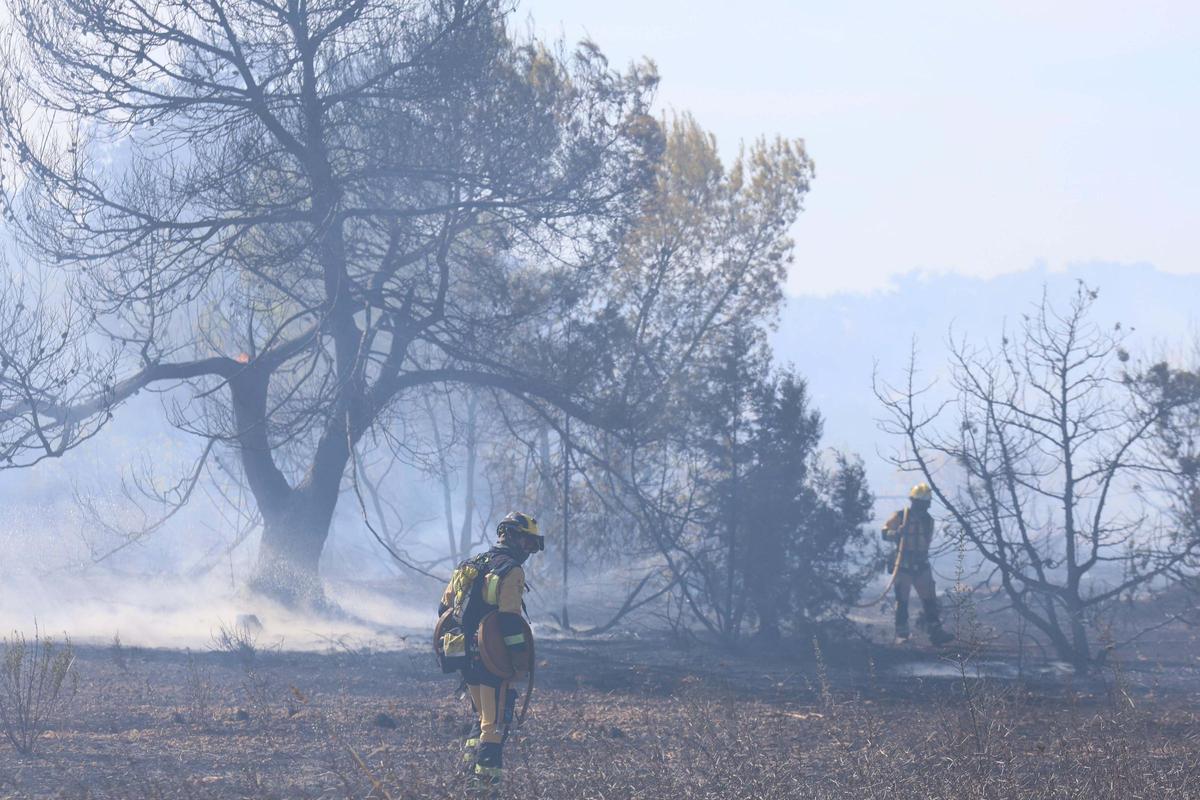 Incendio en Cala de Bou.