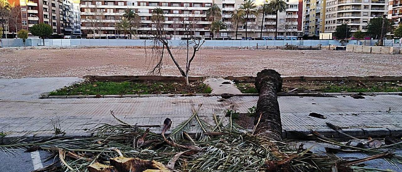 El solar del viejo hospital donde se ubicará el nuevo complejo sanitario.