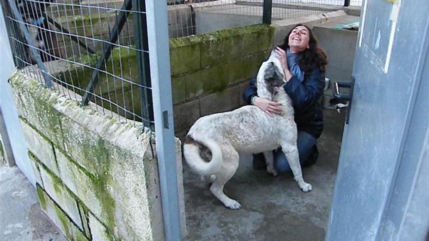 El Arca de Noé rescata con vida a dos perros arrojados a un contenedor