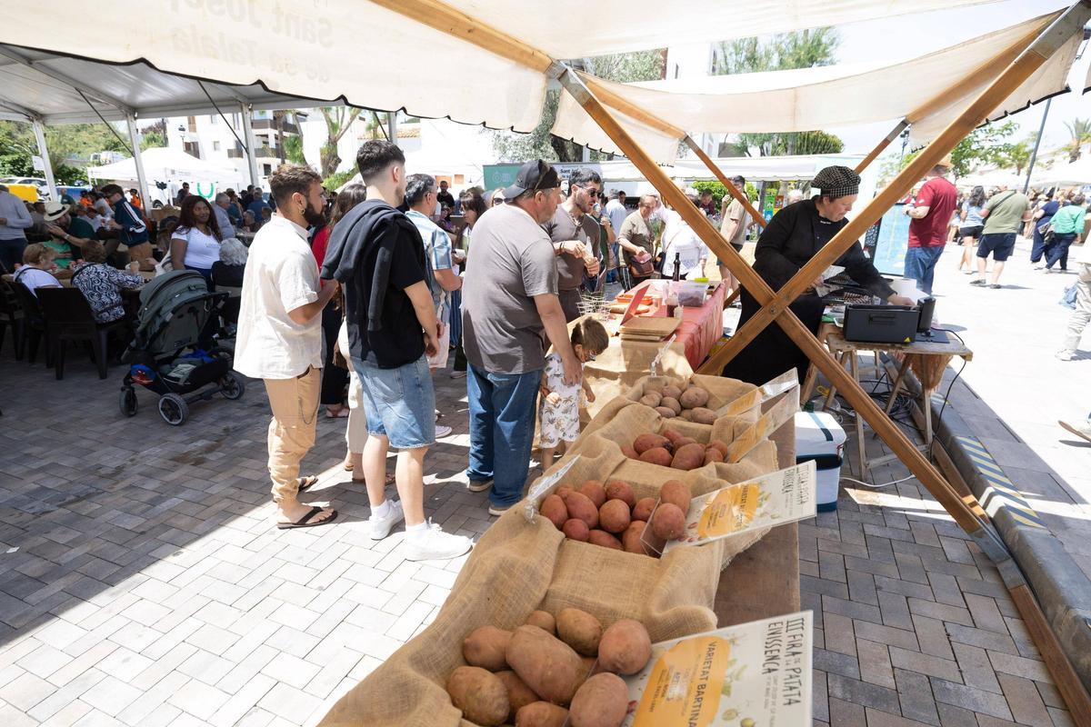 Descubre todas las fotos de la III Feria de la patata ibicenca