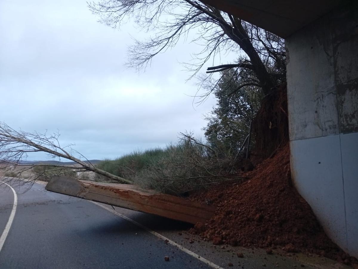 Imagen de la aleta del paso inferior desplomada.