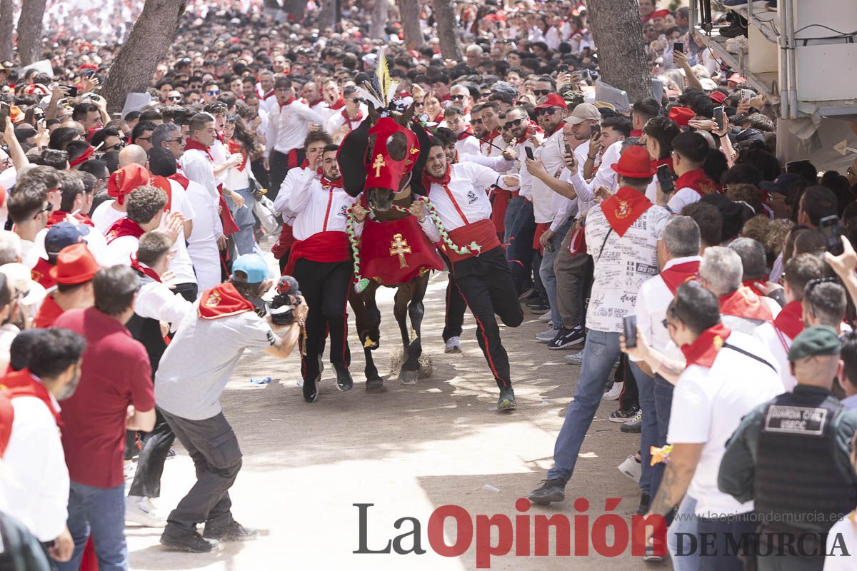 Así se ha vivido la carrera de Los Caballos del Vino en Caravaca