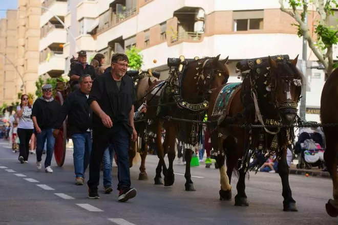 FOTOGALERÍA I Las imágenes del primer domingo de las fiestas patronales de Sant Pasqual en Vila-real