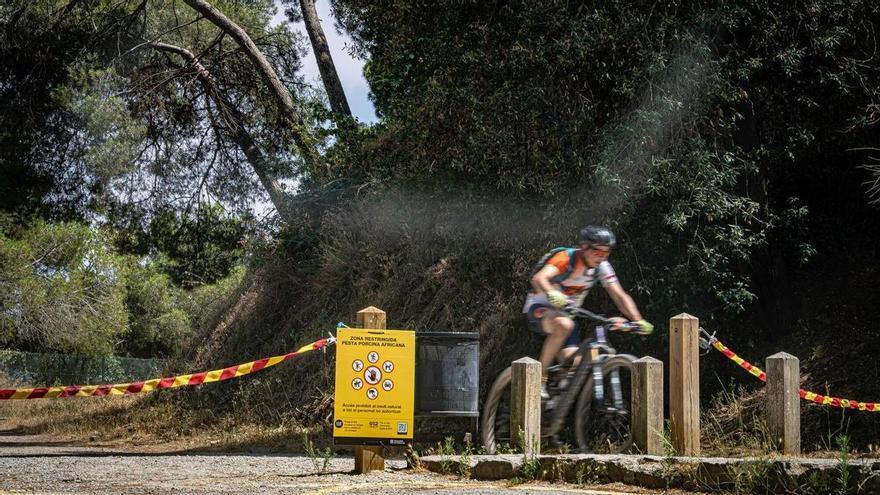 Collserola continuarà tancat «com a mínim» tres mesos més per la pesta porcina, fins gairebé a final d’any