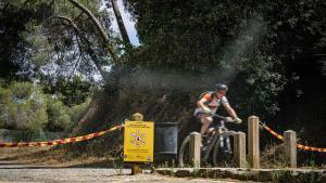 Collserola continuarà tancat «com a mínim» tres mesos més per la pesta porcina, fins gairebé a final  d’any
