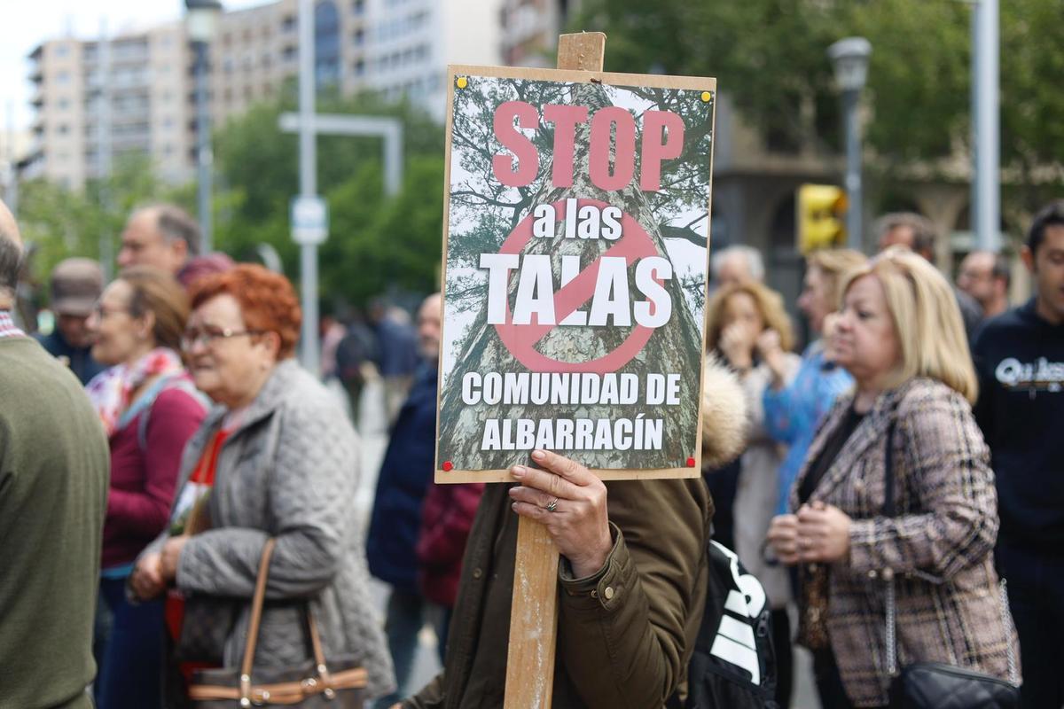 Fotogalería | Manifestación contra la tala masiva de árboles en los ...