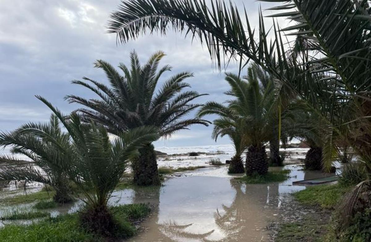 El temporal pone en jaque un camping de Sagunt