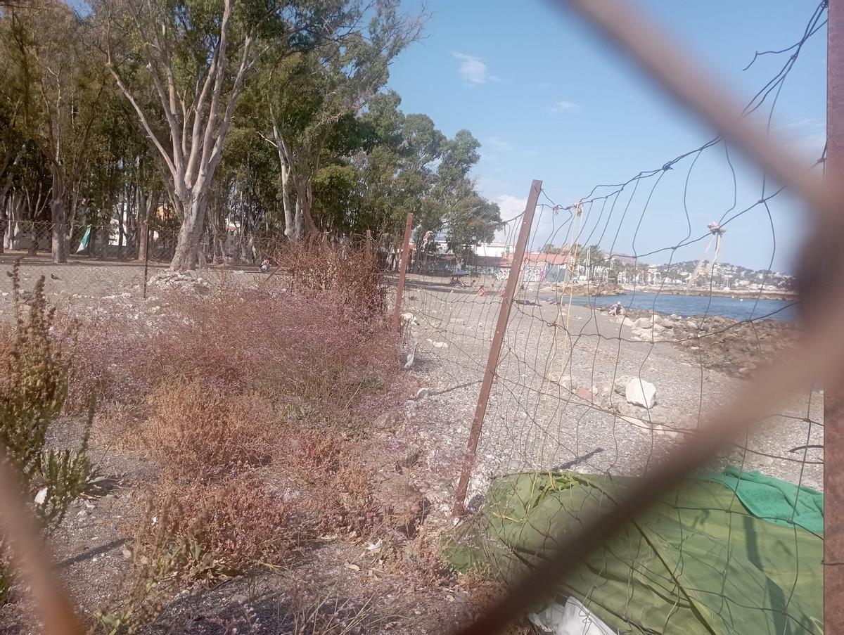 Los restos del 'Limonium carminis', a pocos metros de la playa de los Baños del Carmen, la pasada semana.