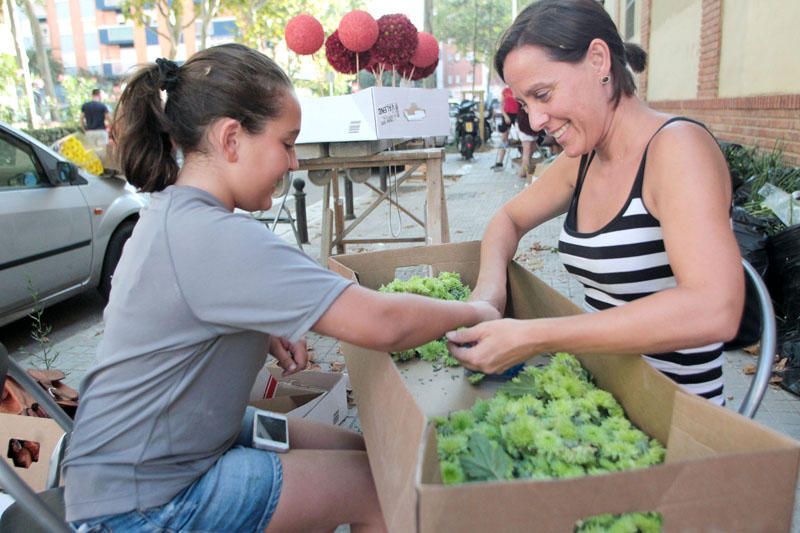 Preparación de las carrozas para la Batalla de Flores