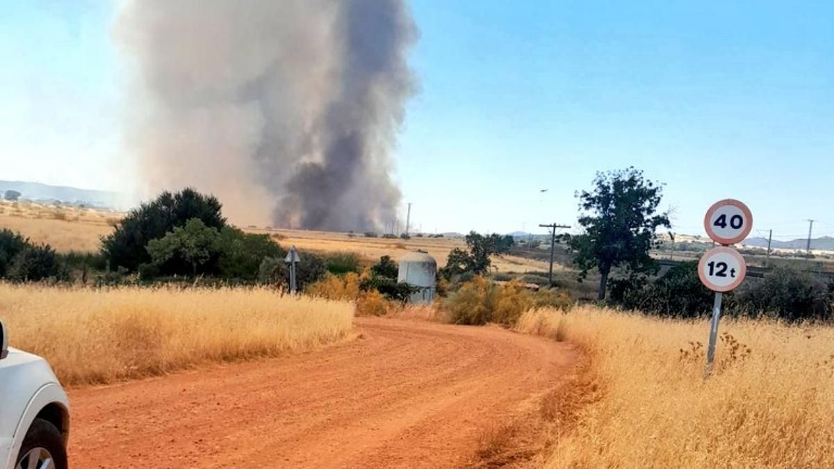 Un incendio en Ciudad Real obliga a cortar el AVE desde Madrid hacia Andalucía.