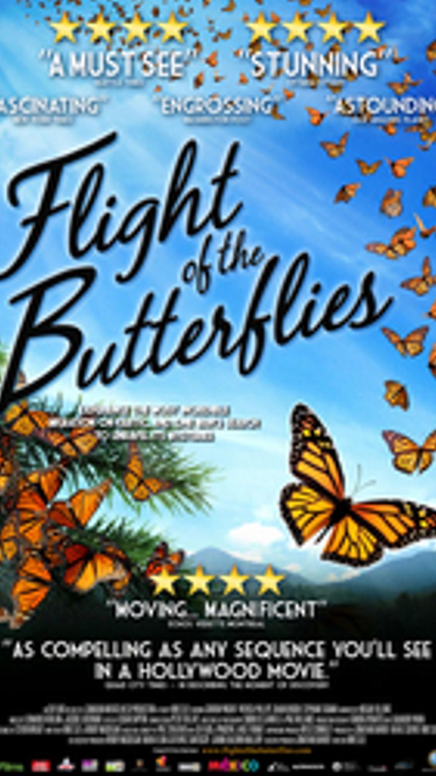 El vuelo de las mariposas