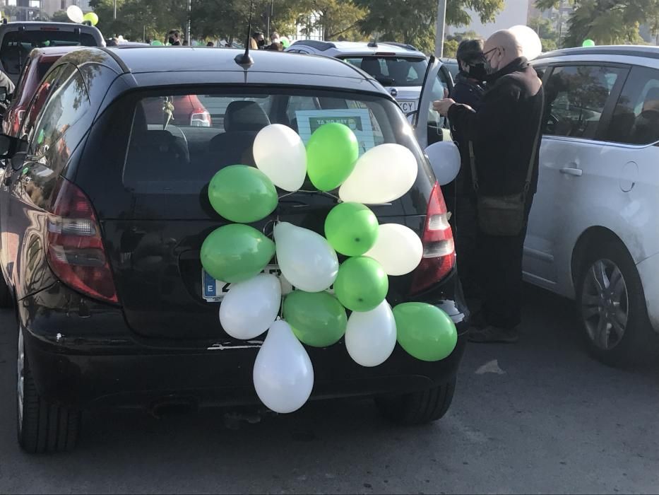 Una marcha teñida de verde y blanco para defender "el bien común"