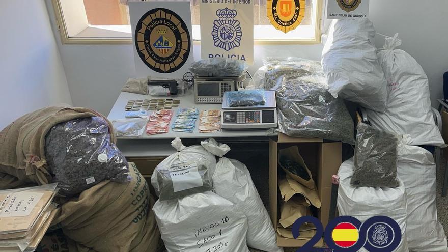 Cop a una banda que cultivava marihuana en cases de Platja d&#039;Aro, Santa Cristina i Sant Feliu