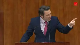 Un diputado del PP de Madrid a la oposición: "Había dejado un poco de tiempo para que se agitasen, verlos así me pone"