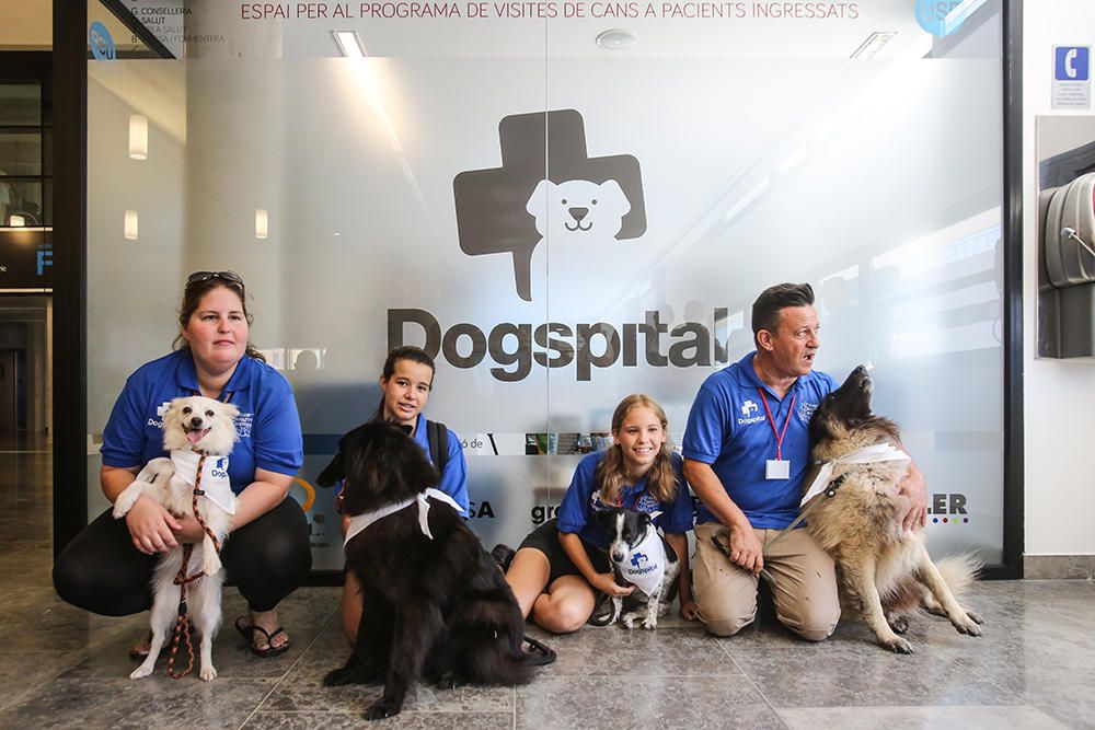 El hospital de Ibiza abre la puerta a los perros.