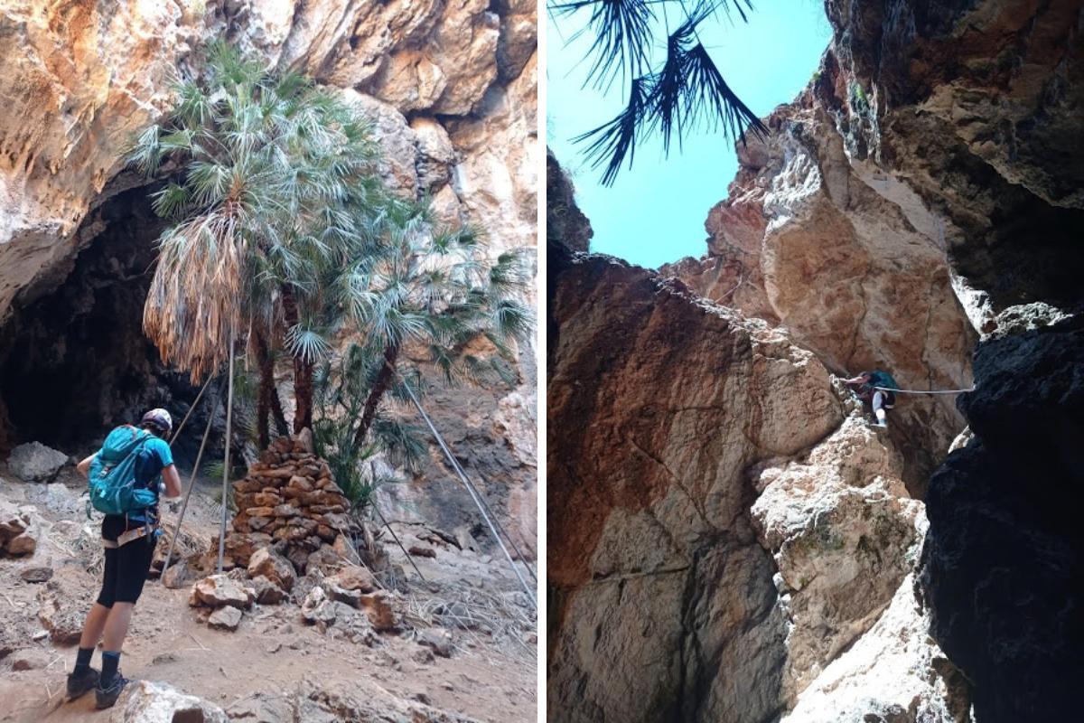 A la izquierda, el famoso palmito que hay en la entrada; a la derecha, el descenso hacia la cueva.