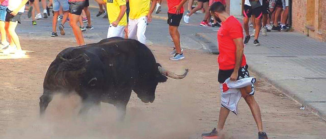 El toro de Julio de la Puerta que mató por la noche a una persona en Meliana, durante la tarde.