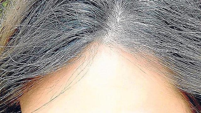 «Mi pasión son las Hogueras y no sólo cinco días, sino 365 trabajando por ellas»
