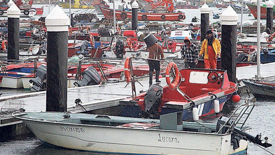 Barcos y trabajadores de la flota artesanal en Arousa.  // J.L. Oubiña