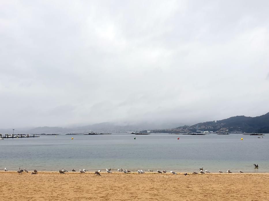 El tiempo en Vigo: el día de verano en el que llovió como si fuese invierno