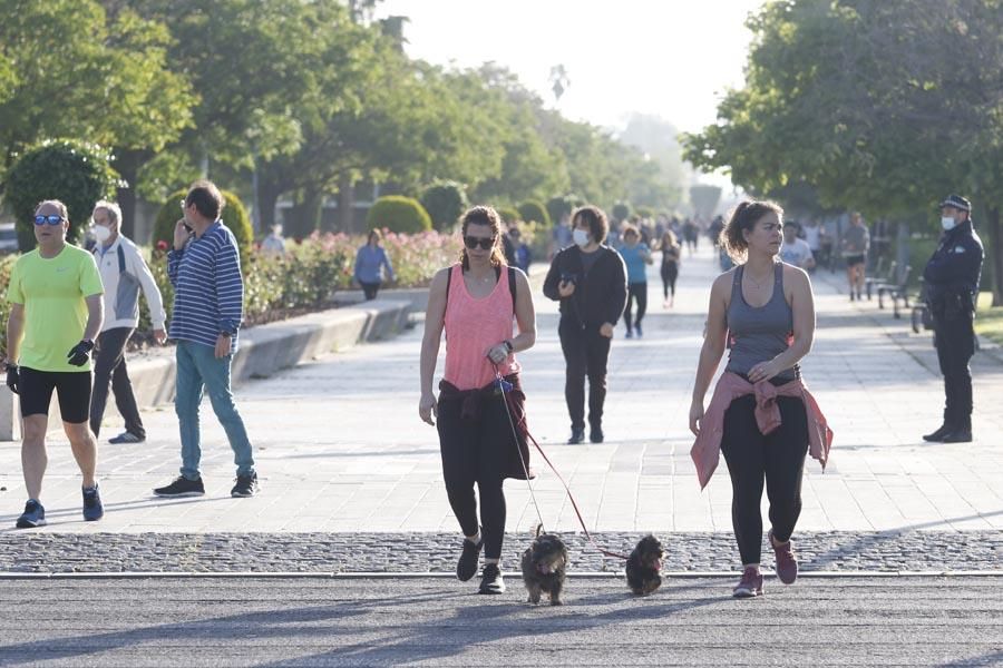 Coronavirus en Córdoba: numerosos cordobeses salen a pasear y a correr desde primera hora