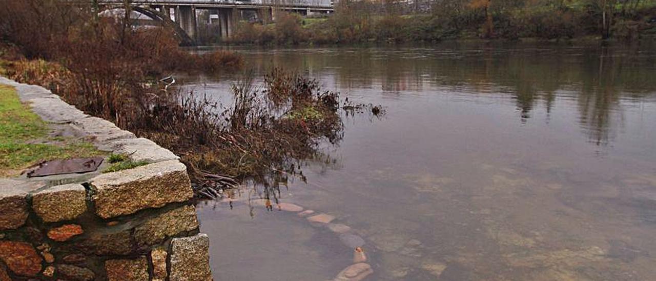 El río Miño, ayer, a su paso por Ourense. |   // IÑAKI OSORIO