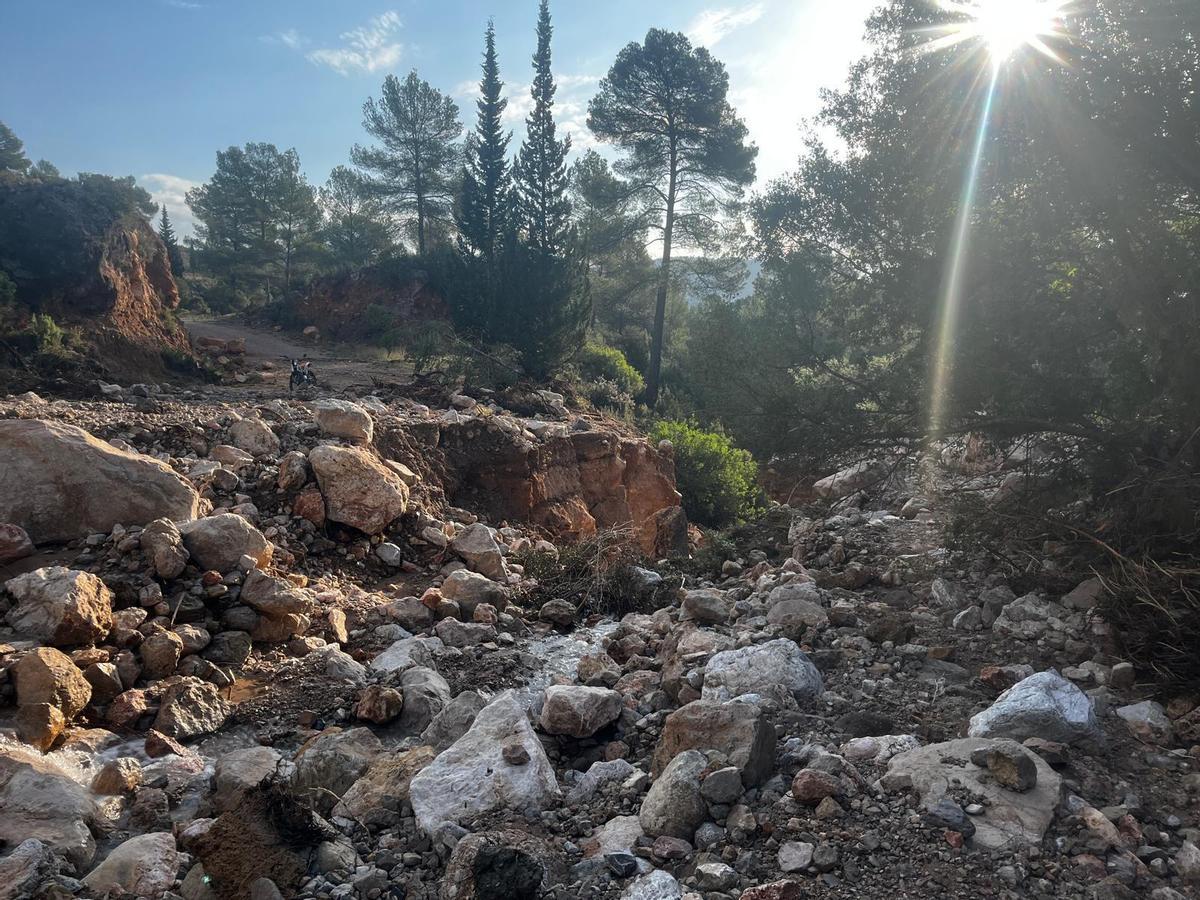 Pista forestal de las Olmedillas en Tuéjar.