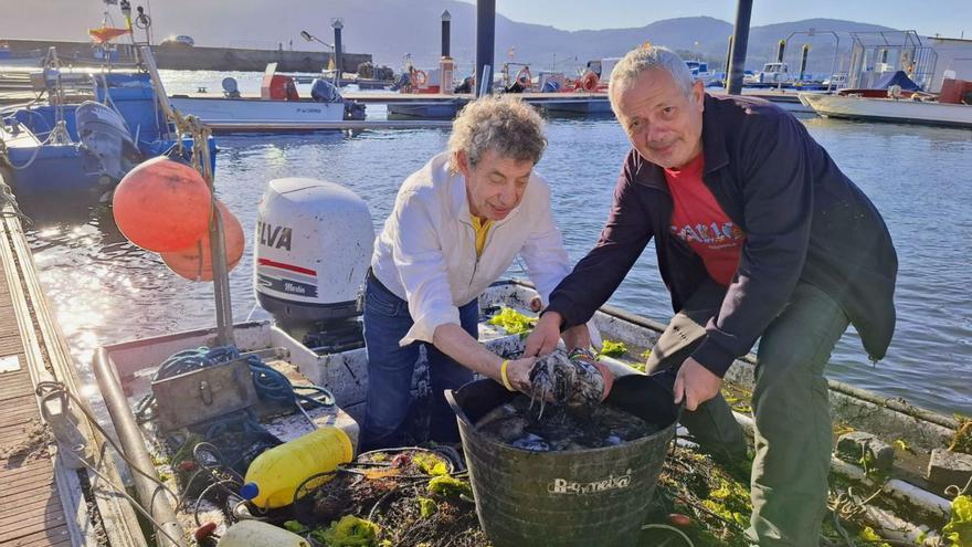 Piden un monumento que resalte la importancia del choco en Redondela