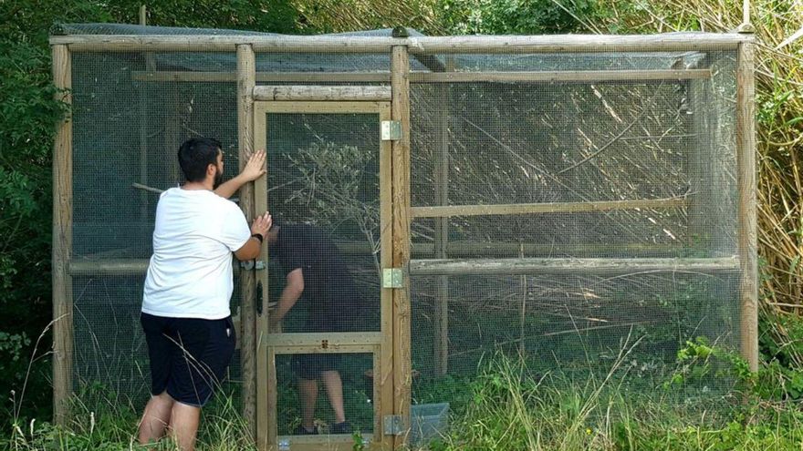 La trenca torna als Aiguamolls de la mà d’un projecte que vol evitar la seva extinció