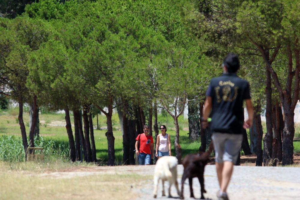 Este sábado, 22 de julio, ha sido el primer día de apertura del Benítez, tras su inauguración.-