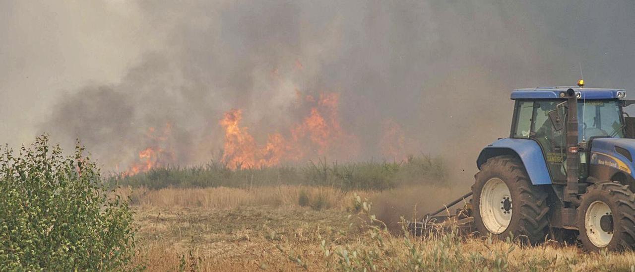 Uno de los incendios del pasado verano en Riobó estuvo próximo a granjas. |  // BERNABÉ/ANA AGRA