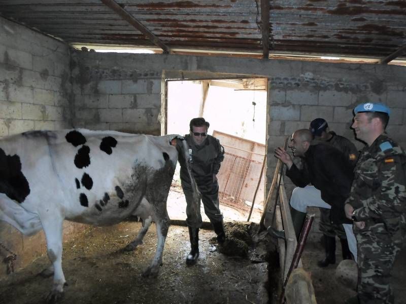 FOTOGALERÍA / Veterinarios de la UCO en Líbano