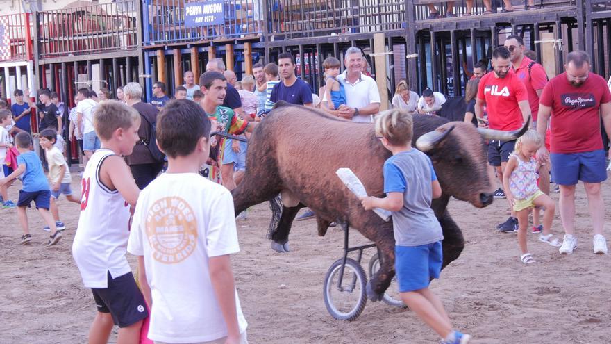 Un encierro infantil para fomentar la afición taurina en Nules, las imágenes