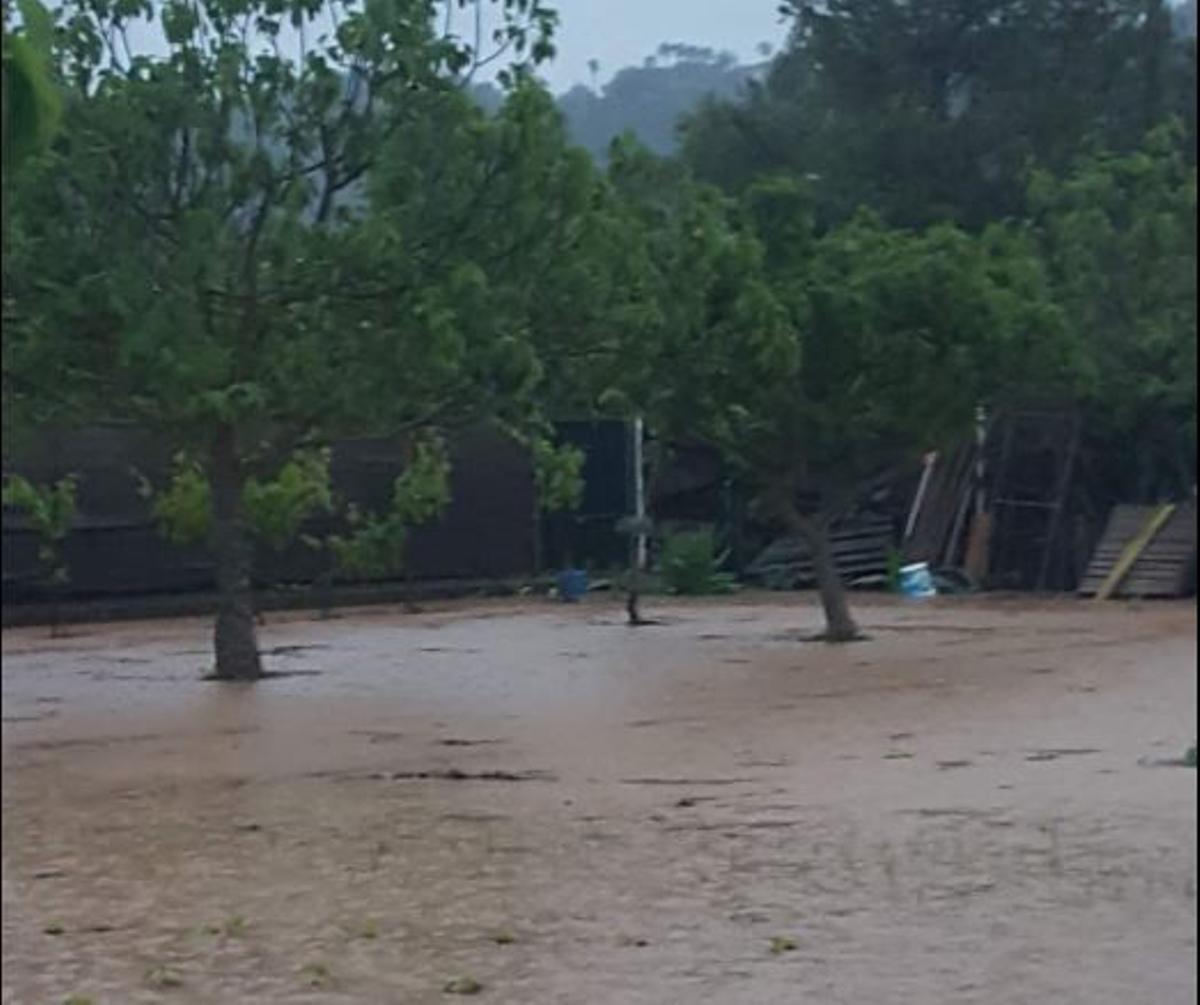 Otra imagen de la finca, totalmente inundada.