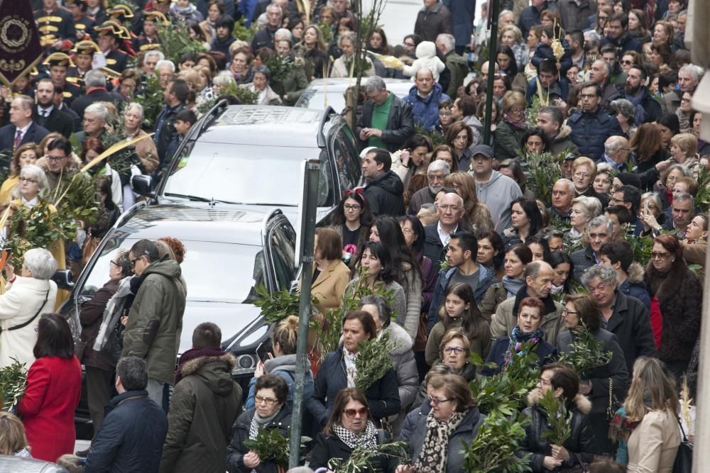 procesion borriquilla