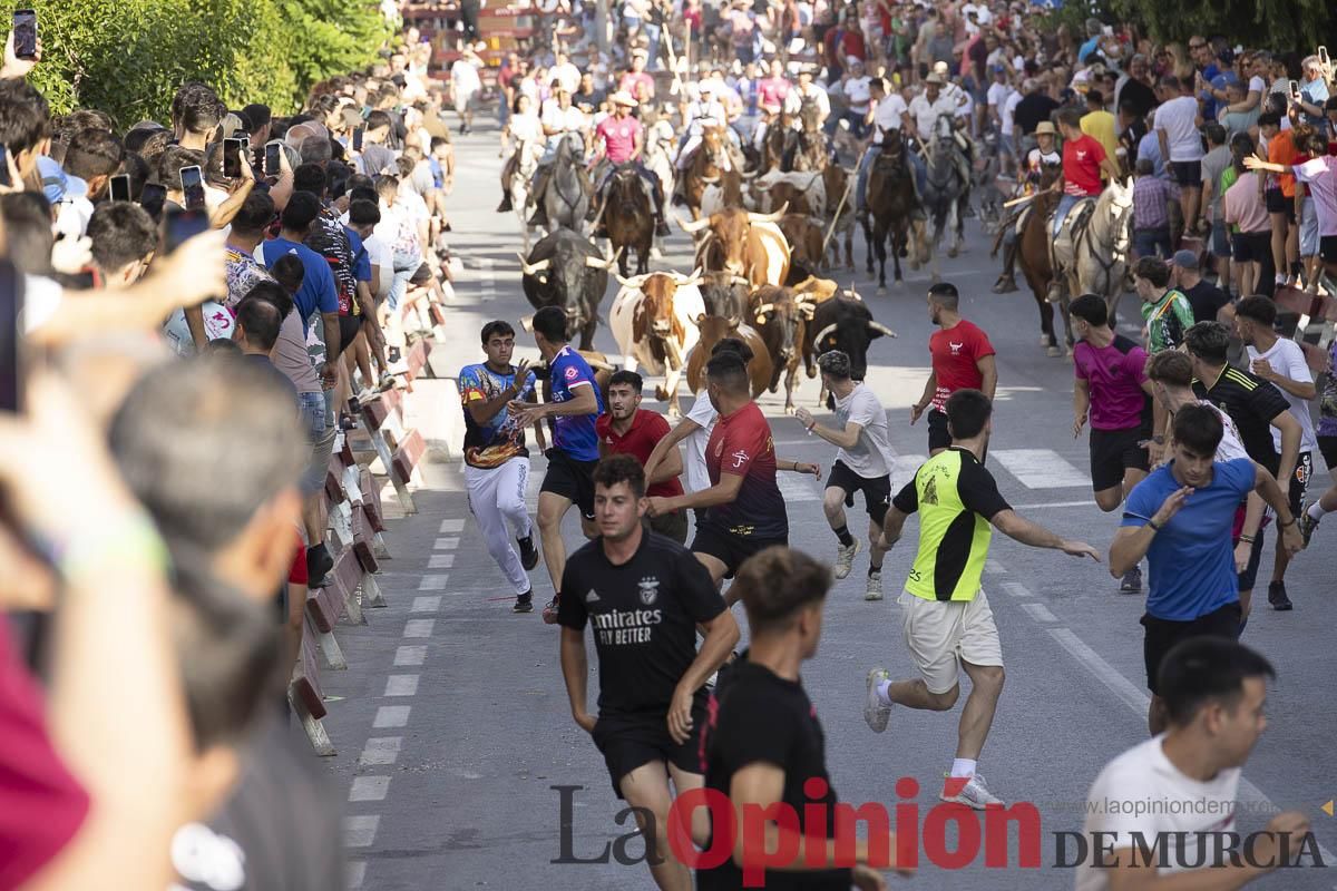 Quinto encierro de las Fiestas de Moratalla
