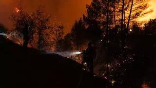 La calor extrema eleva el risc d'incendis a la Comunitat Valenciana