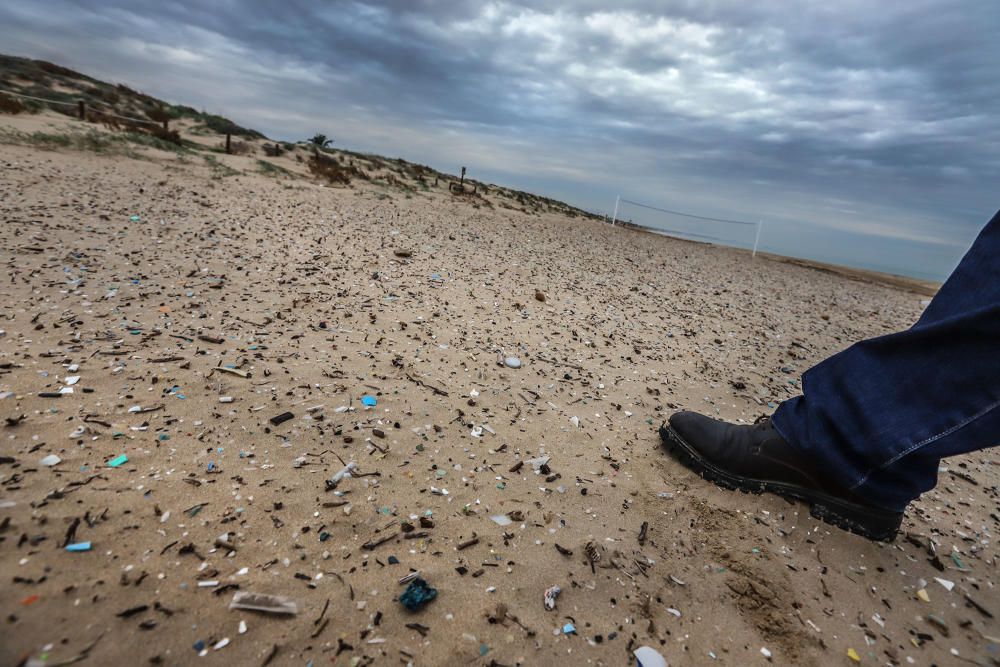 Más de tres mil fragmentos de plástico por metro cuadrado se pueden encontrar en la arena de la playa situada junto a la desembocadura del Segura en Guardamar