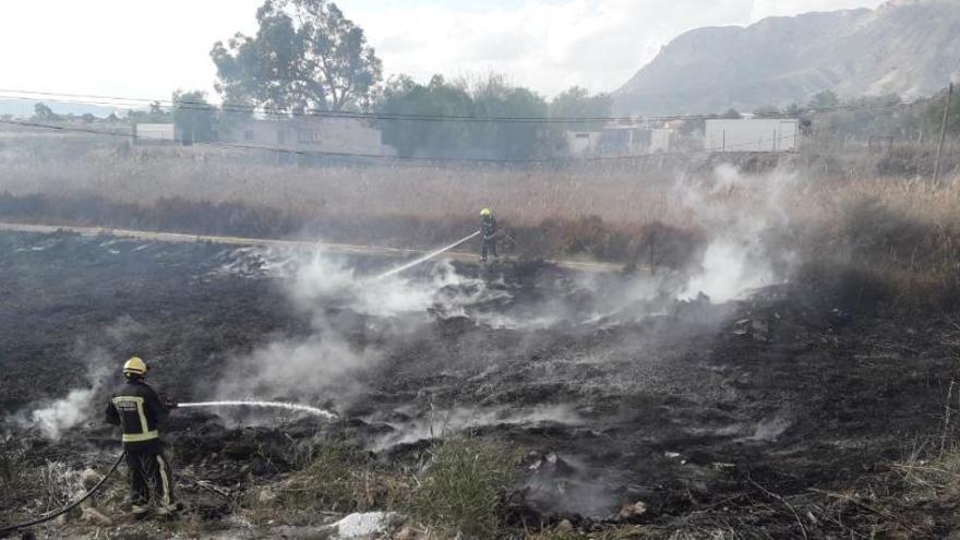 Un fuego calcina 3.000 m2 de cañar junto a unas casas en la Serreta