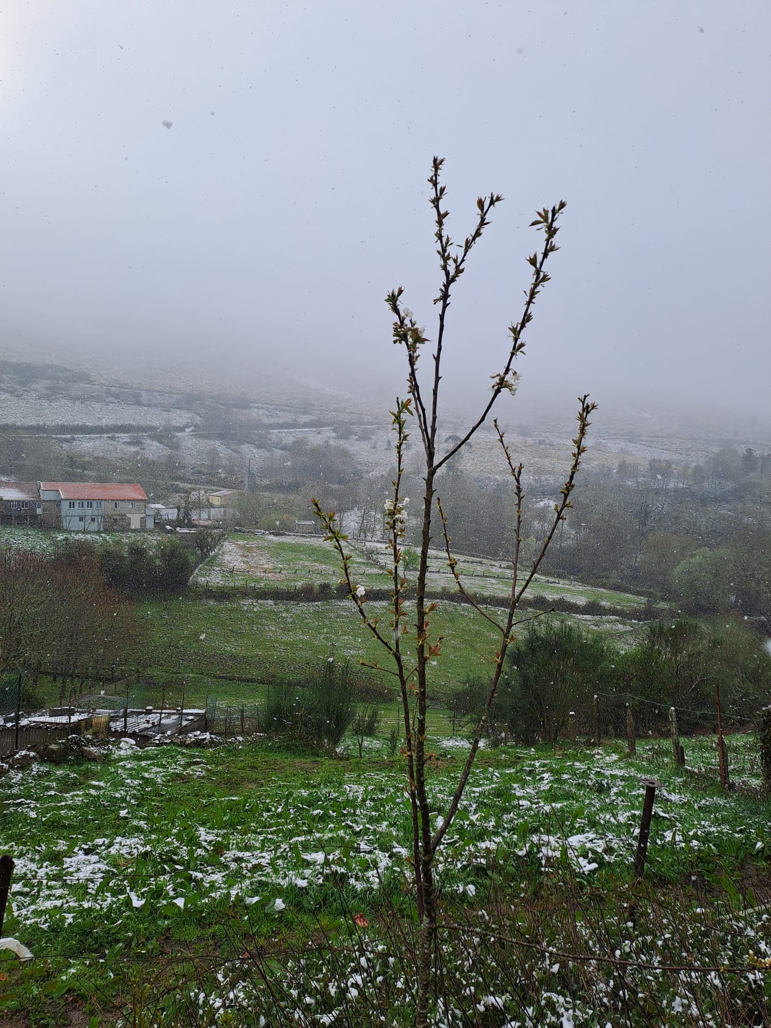 Nevada en el interior de Pontevedra