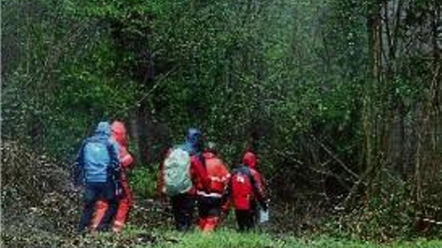 Un grup de voluntaris i de bombers s&#039;endinsa al bosc.