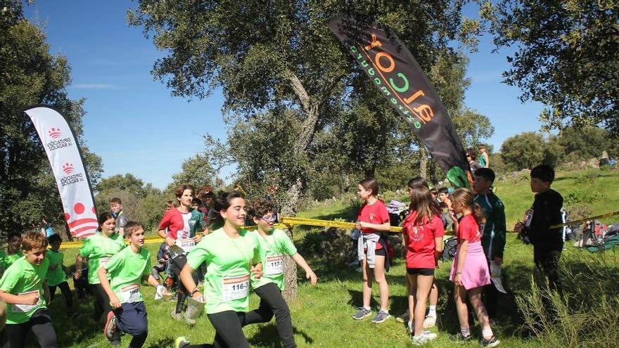 e Cheste, subcampeones de España de orientación escolar