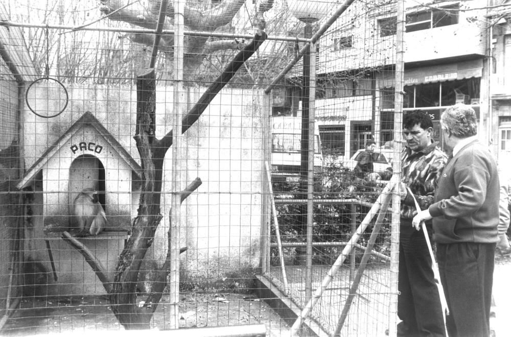Visita en A Madroa la jaula del mono Paco, curiosamente como el nombre del alcalde de A Coruña